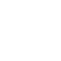 Ballot Icon